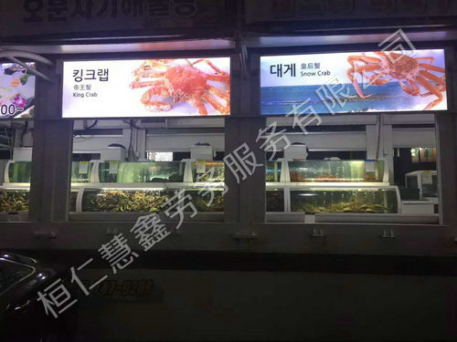 韩国生活环境照片