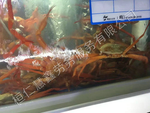 韩国生活环境照片
