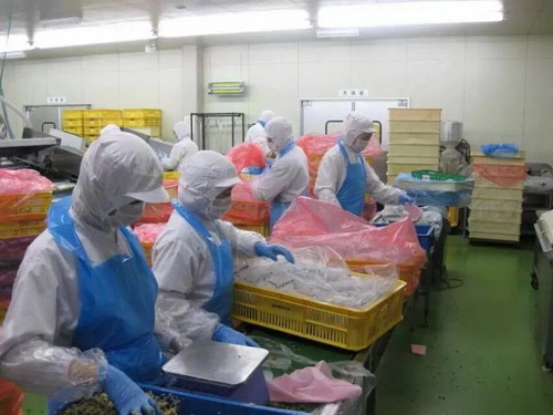 日本研修生 工作生活照片