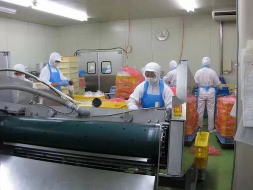 日本研修生 工作生活照片