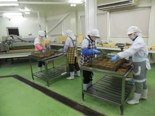 日本研修生 工作生活照片